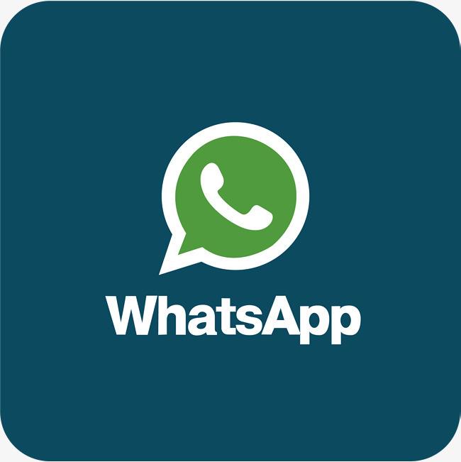 our whatsapp